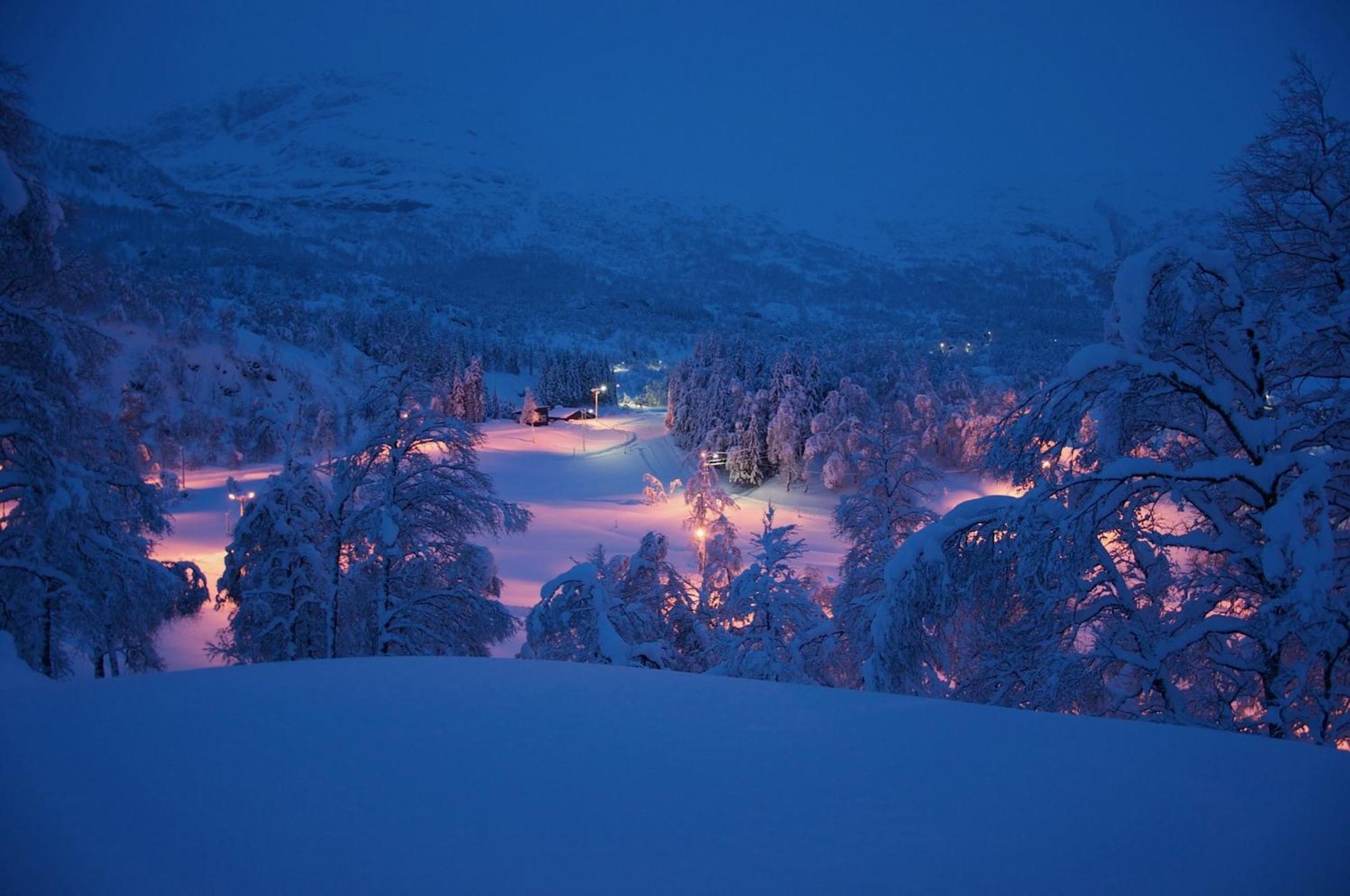 Minnehaugen I Handeland Lodge Sauda Extérieur photo