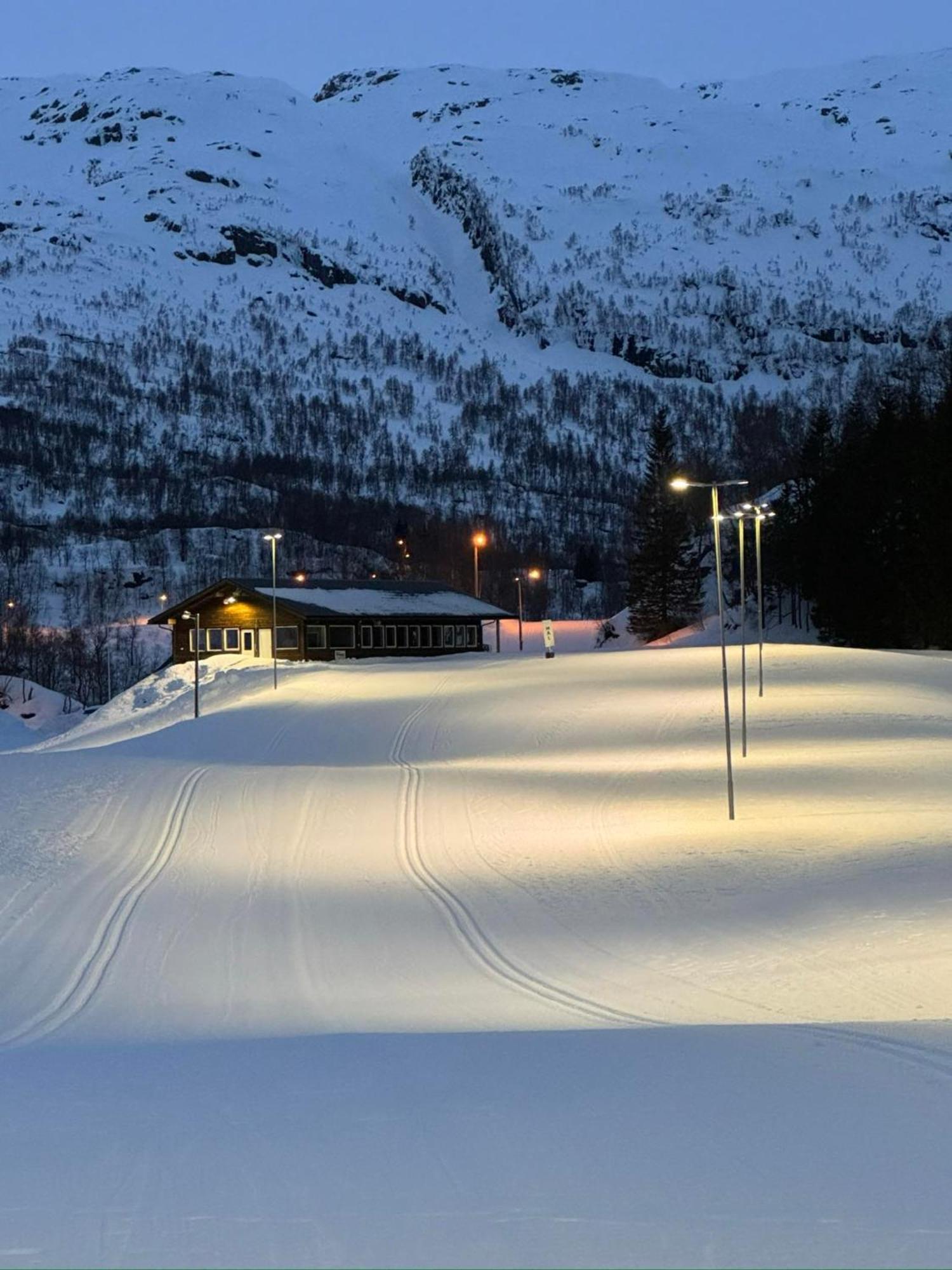 Minnehaugen I Handeland Lodge Sauda Extérieur photo